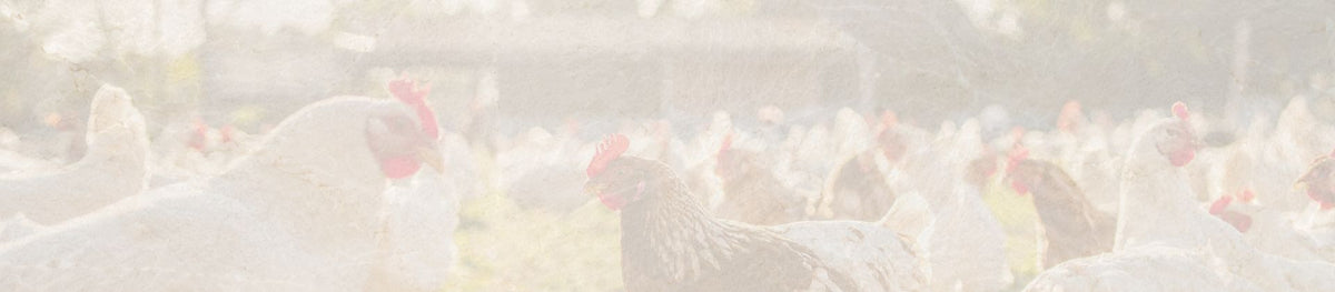 Chicken - Cedar Food Group, Sydney