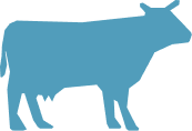 Animal Sourcing
